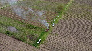 Luftaufnahme eines landwirtschaftlichen Feldes mit parallelen Anbauflächen und Weinreben. In der Bildmitte steigt Rauch von einem kleinen Feuer auf, das eine Person neben einem Haufen Äste und Zweige betreut. Zwei Autos stehen auf einem grasbewachsenen Weg in der Nähe. 