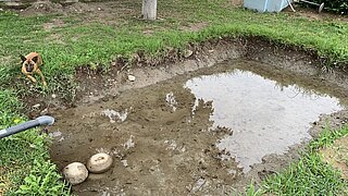 Kleines Becken mit Wasser und zwei Steinen am Rand sowie ein brauner Hund, der auf dem Gras neben dem Teich liegt