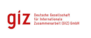 Logo giz