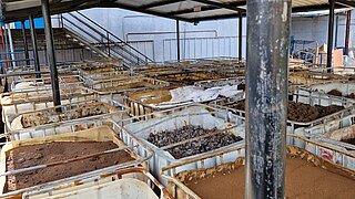 Klärschlammabfälle stehen in großen Behältern in einer Halle