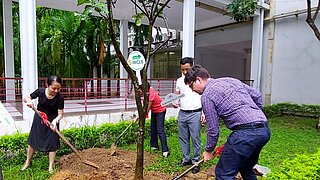 4 Personen pflanzen einen Baum