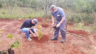 Die Setzlinge werden von Ricardo Klien von der Landschaftsgärtnerei Klein und Vlademir Correa vom Abfallzweckverband Proamb gepflanzt ((v. l. n. r.)