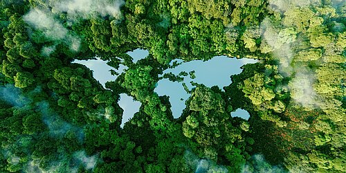 Wald von oben, in dem Weltkarte als See angelegt ist