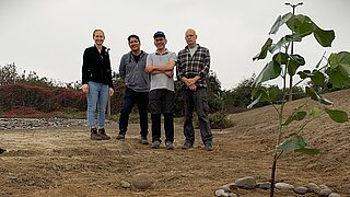 4 Personen stehen neben einem Baumsetzling, der in sandigem Boden eingepflanzt wurde