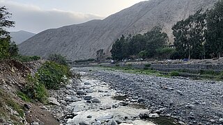 Fluss mit Kiesbett und Bäumen am Ufer vor einem steilen, felsigen Berghang