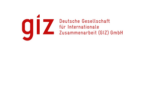 Logo der giz