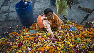 eine Frau sortiert Blüten-Müll